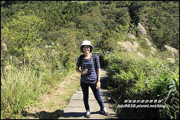 五分山11.JPG 五分山11.JPG