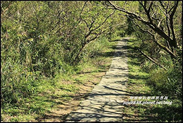 五分山13.JPG 五分山13.JPG