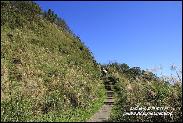 五分山15.JPG 五分山15.JPG