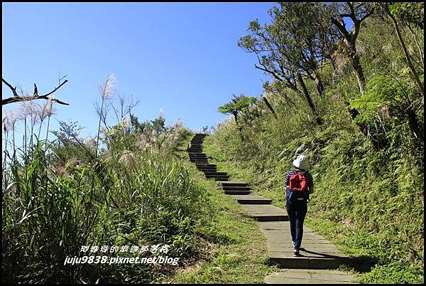 五分山18.JPG 五分山18.JPG