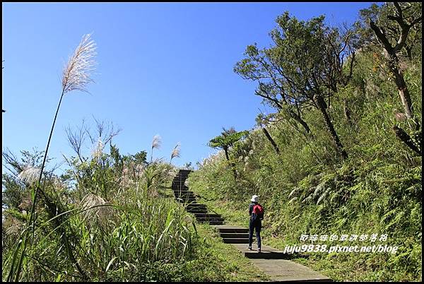 五分山19.JPG 五分山19.JPG