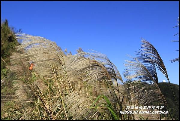 五分山23.JPG 五分山23.JPG