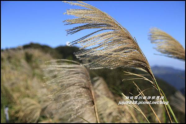 五分山28.JPG 五分山28.JPG