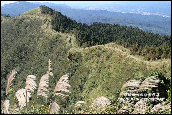 五分山45.JPG 五分山45.JPG