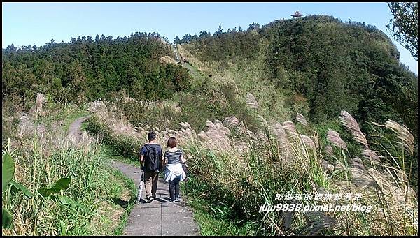 五分山51.jpg 五分山51.jpg