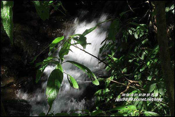 五分山62.JPG 五分山62.JPG