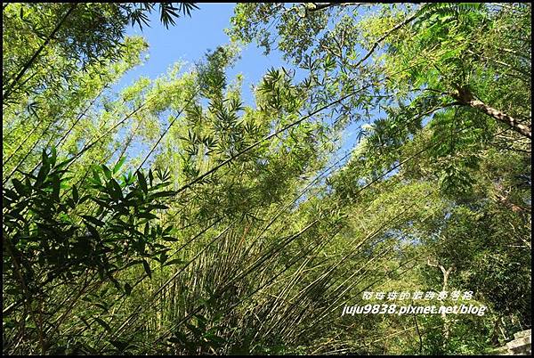 五分山64.JPG 五分山64.JPG