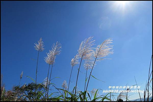 五分山76.JPG 五分山76.JPG