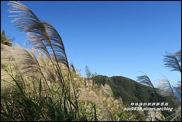 五分山78.JPG 五分山78.JPG