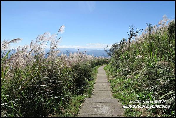 五分山79.JPG 五分山79.JPG