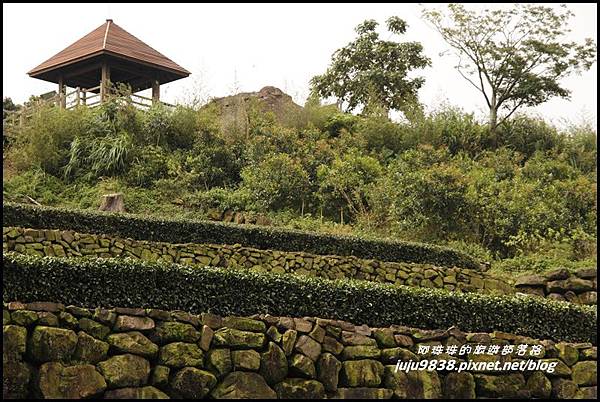 二延平步道13.JPG 二延平步道13.JPG