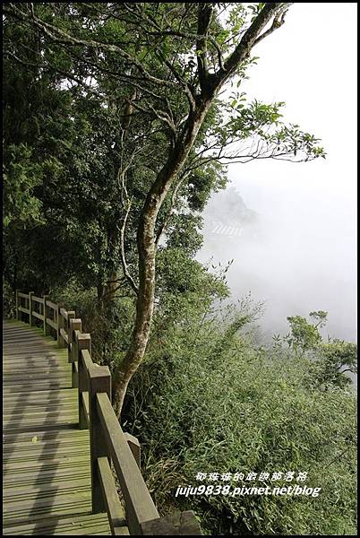 二延平步道16.JPG 二延平步道16.JPG