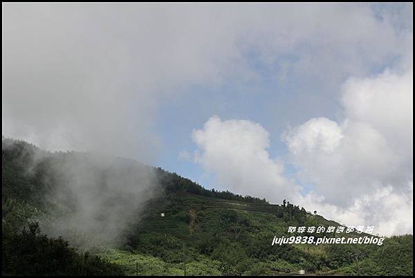 二延平步道17.JPG 二延平步道17.JPG