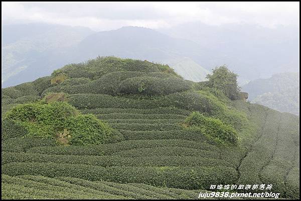 二延平步道19.JPG 二延平步道19.JPG
