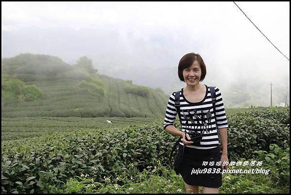 二延平步道20.JPG 二延平步道20.JPG