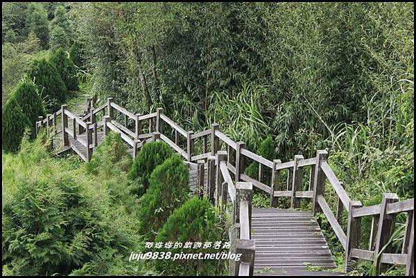 二延平步道24.JPG 二延平步道24.JPG