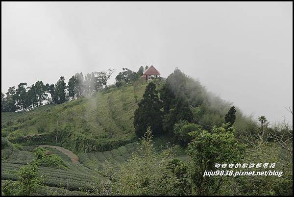 二延平步道25.JPG 二延平步道25.JPG