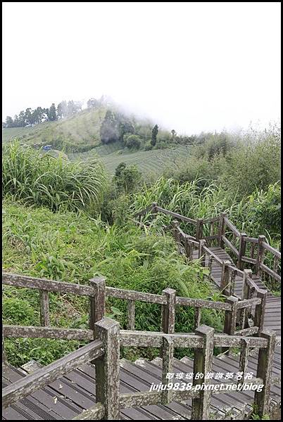 二延平步道27.JPG 二延平步道27.JPG