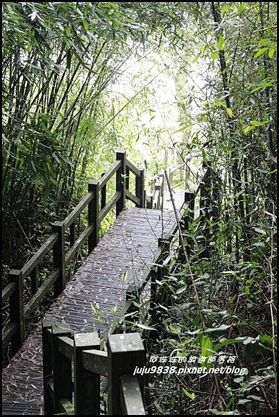 二延平步道28.JPG 二延平步道28.JPG