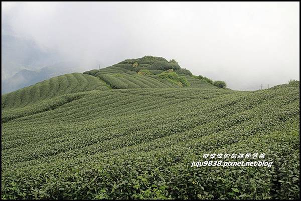 二延平步道30.JPG