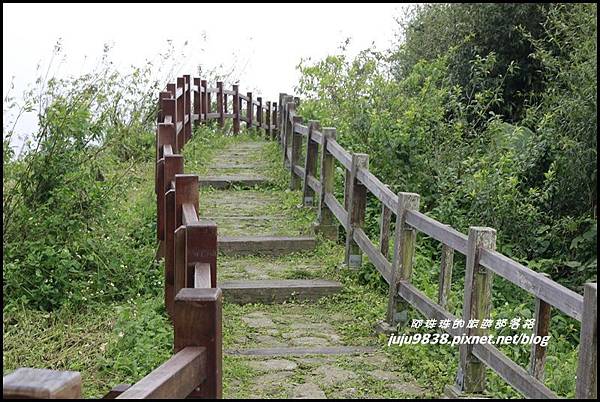 二延平步道31.JPG 二延平步道31.JPG