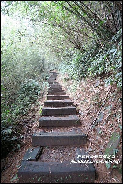 二延平步道38.JPG 二延平步道38.JPG