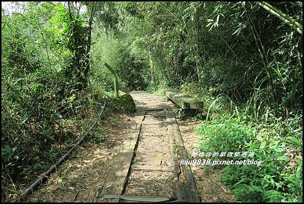 二延平步道40.JPG 二延平步道40.JPG