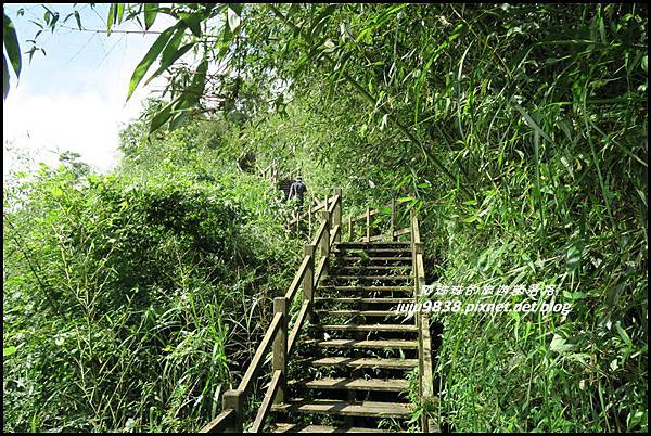 二延平步道42.JPG 二延平步道42.JPG