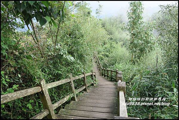 二延平步道43.JPG 二延平步道43.JPG