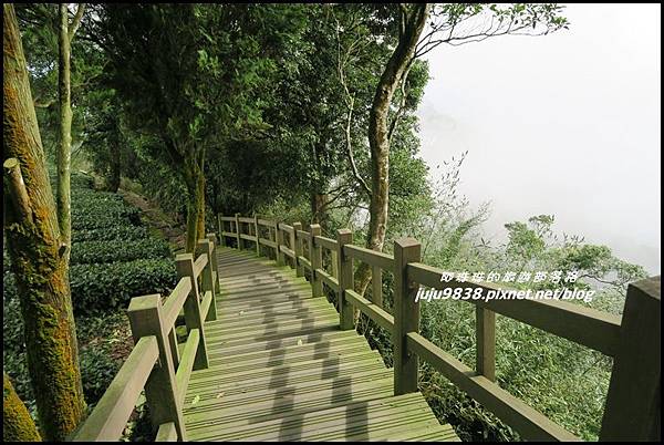 二延平步道44.JPG 二延平步道44.JPG