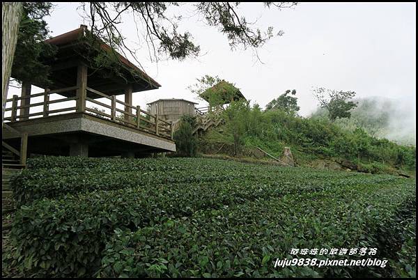 二延平步道45.JPG 二延平步道45.JPG