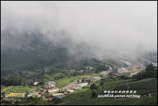 二延平步道46.JPG 二延平步道46.JPG