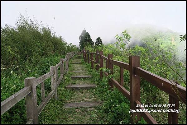 二延平步道49.JPG 二延平步道49.JPG