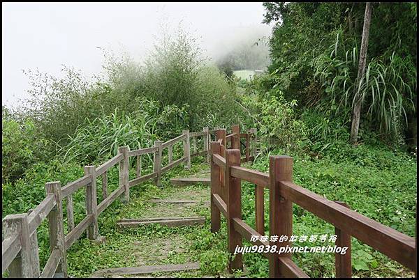 二延平步道50.JPG 二延平步道50.JPG