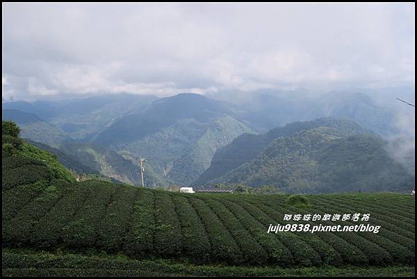 二延平步道51.JPG 二延平步道51.JPG