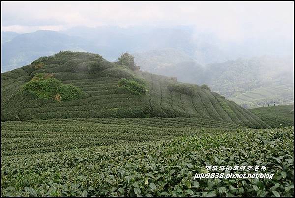 二延平步道52.JPG 二延平步道52.JPG