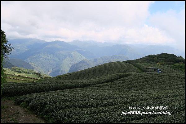 二延平步道53.JPG 二延平步道53.JPG