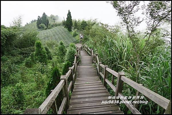 二延平步道55.JPG 二延平步道55.JPG