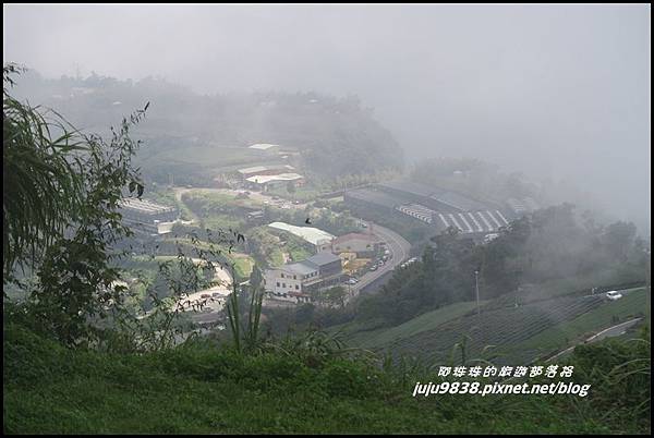 二延平步道60.JPG 二延平步道60.JPG