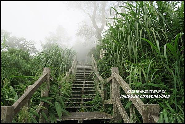 二延平步道61.JPG 二延平步道61.JPG