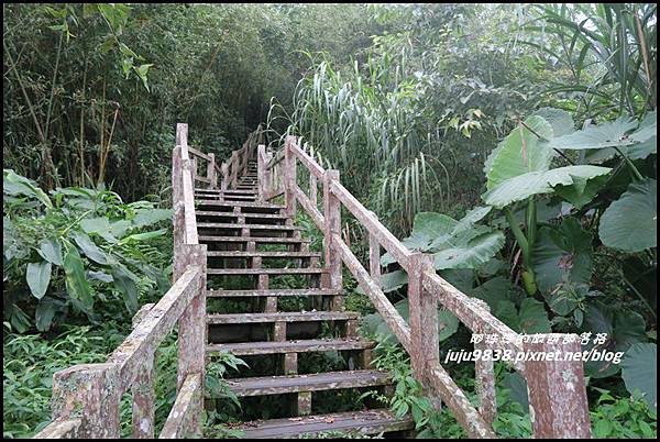 二延平步道62.JPG 二延平步道62.JPG