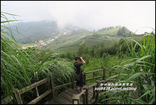 二延平步道65.JPG 二延平步道65.JPG