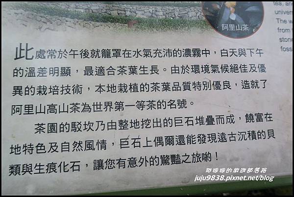 二延平步道66.JPG 二延平步道66.JPG