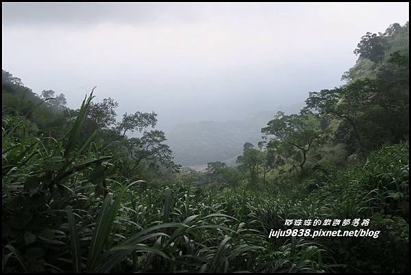 二延平步道69.JPG 二延平步道69.JPG