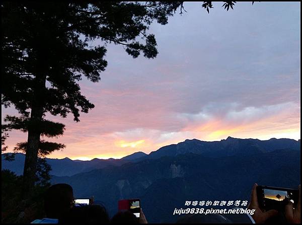 阿里山12.jpg 阿里山12.jpg