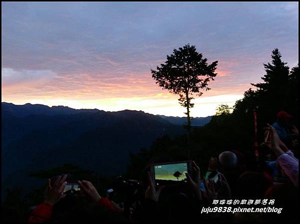 阿里山13.jpg 阿里山13.jpg