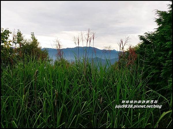 阿里山21.jpg 阿里山21.jpg