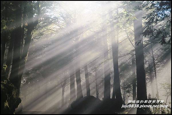 阿里山35.JPG 阿里山35.JPG