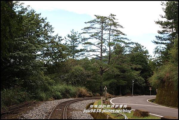 阿里山40.JPG 阿里山40.JPG