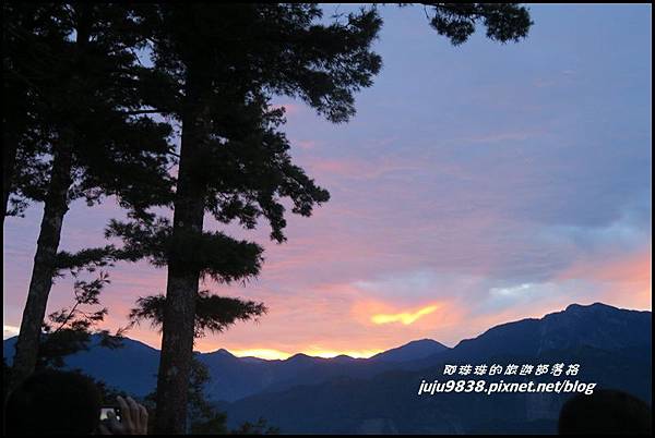 阿里山43.JPG 阿里山43.JPG